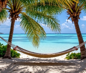 Piasek, Rośliny, Palmy, Trzy, Morze, Hamak