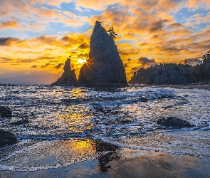 Plaża, Stan Waszyngton, Wschód słońca, Stany Zjednoczone, Park Narodowy Olympic, Drzewa, La Push Beach, Morze, Skały