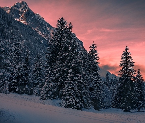 Zachód słońca, Drzewa, Góry, Zima, Las, Ośnieżone