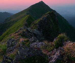 Góry, Rośliny, Skały, Szczyt, Poranek