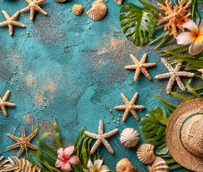 Kompozycja, Plumeria, Liście, Kapelusz, Rozgwiazdy, Kwiat