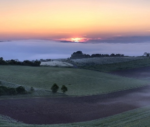 Pola, Mgła, Drzewa, Łąki, Wschód słońca