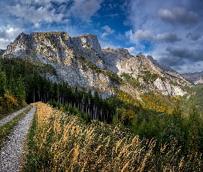 Droga, Chmury, Drzewa, Trawa, Góry