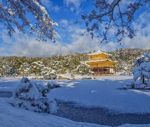 Kioto, Drzewa, Świątynia Kinkaku ji, Japonia, Staw Kyko chi, Zima, Złoty Pawilon