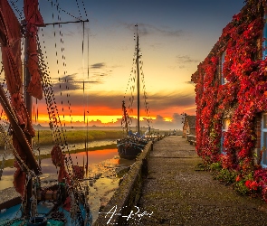 Wschód słońca, Przystań, Jesień, Liście, Rzeka, Anglia, Dom, Suffolk, Żaglówki, Winorośl, Czerwone