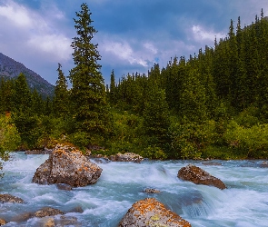 Kamienie, Góry, Drzewa, Głazy, Rzeka
