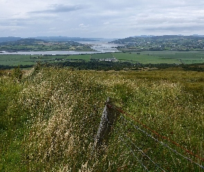 Pola, Wzgórza, Rzeka, Trawa, Łąki