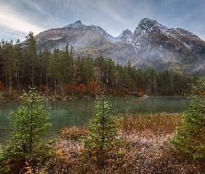 Jezioro, Drzewa, Trawa, Pożółkła, Góry
