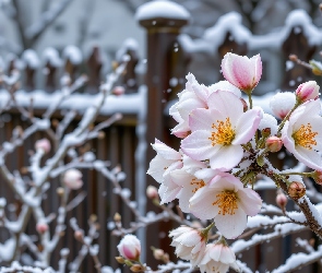 Grafika AI, Ogrodzenie, Ośnieżone, Kwiaty, Gałązki, Krzew