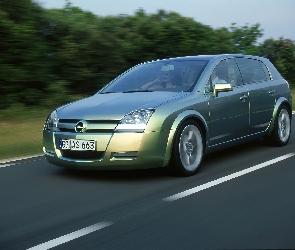 Opel Signum