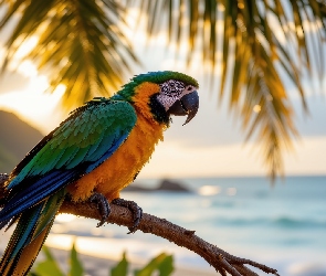 Ara, Grafika AI, Morze, Gałąź, Papuga
