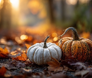 Dynie, Grafika AI, Liście, Suche, Dwie