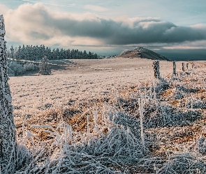 Ogrodzenie, Słupy, Oszroniona, Pole, Trawa, Drewniane
