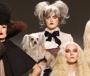 Chart afgański, Grzywacz chiński, Kobiety, Trzy, Psy, Pudel