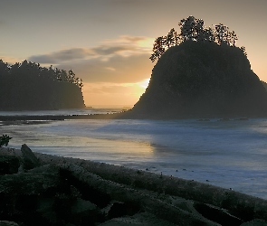 Rialto Beach, Skały, Stany Zjednoczone, Morze, Drzewa, Chmury, Stan Waszyngton, Niebo, Plaża, Park Narodowy Olympic, Zachód słońca