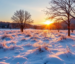 Grafika AI, Wschód słońca, Ośnieżona, Zima, Łąka, Drzewa