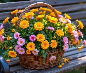 Różowe, Ławka, Koszyk, Pomarańczowe, Kwiaty