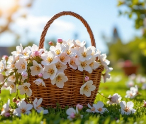 Koszyk, Wiklinowy, Różowe, Białe, Drobne, Kwiaty