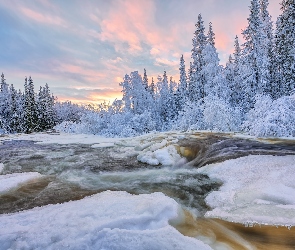 Krzewy, Drzewa, Oblodzona, Zima, Rzeka, Ośnieżone