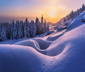 Wschód słońca, Zaspy, Wzgórze, Drzewa, Zima