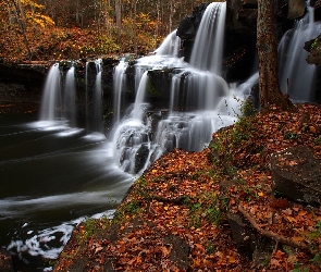 Stany Zjednoczone, Jesień, Liście, Wirginia Zachodnia, Wodospad, Drzewa, Brush Creek Falls, Skały, Las, Opadłe