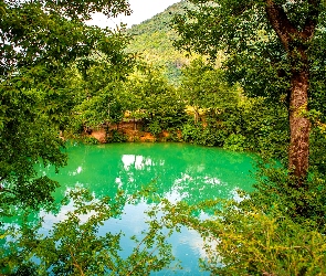 Krzewy, Drzewa, Golestan, Iran, Jezioro, Gol e Ramian