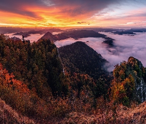 Zachód słońca, Mgła, Las, Góry, Drzewa, Jesień