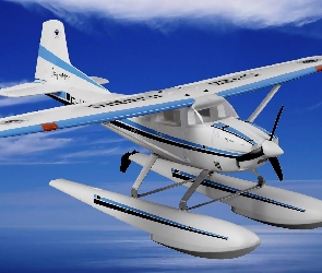 Skywagon, Grafika, Cessna 185