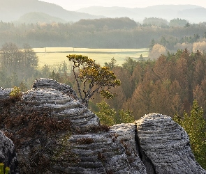 Niemcy, Park Narodowy Saskiej Szwajcarii, Skały, Góry Połabskie, Lasy, Drzewa