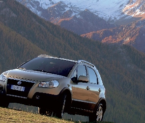 Beżowy, Atrapa, Fiat Sedici