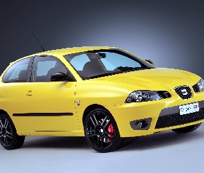 Seat Ibiza, Cupra R