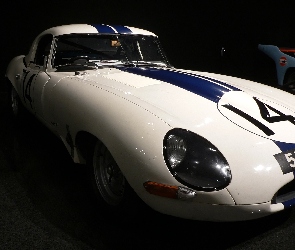 Jaguar, Światło