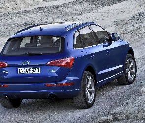 Audi Q5, Antena