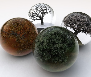 Drzewa, Grafika 3D, Kule