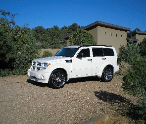 Szyby, Ciemne, Biały, Dodge Nitro