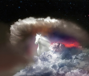 Koń, Chmura