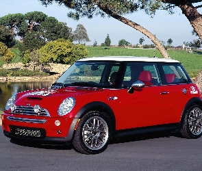 Biały, Dach, Mini Cooper