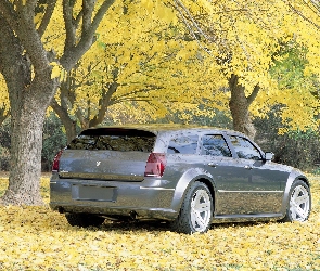 Dodge Magnum, Drzewa