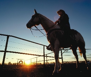 Koń, zachód, słońce, jeździec