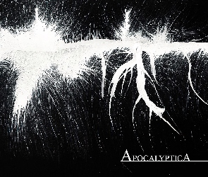 nazwa zespołu, Apocalyptica