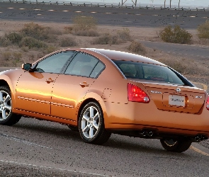 Nissan Maxima, SE