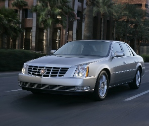 Cadillac DTS, Droga, Palmy