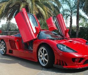 Saleen S7, Drzwi, Unoszone