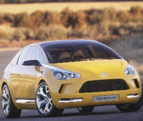 Citroen C-Sportlounge, Atrapa, Przód
