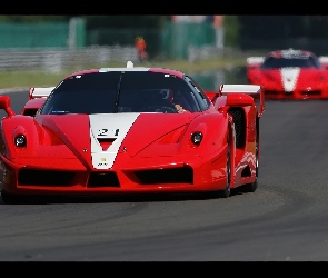 Ferrari FXX, Spaliny, Startowy, Numer