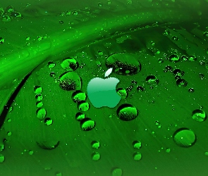 Zielony, Apple, Rosa, Logo, Liść