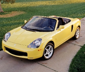 MR-2, Żółty