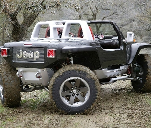 Jeep, Prototyp