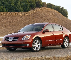 Maxima