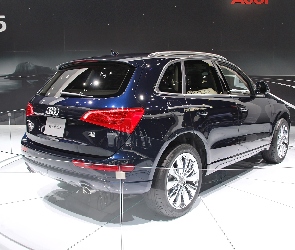 Salon, Genewa, Audi Q5